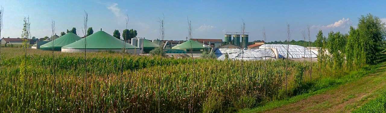 Einsatz von KI in den Biogasanlagen der Goffin Energy GmbH